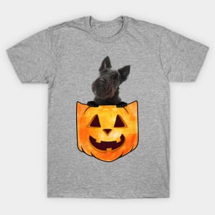 Scottish Terrier Dog In Pumpkin Pocket Halloween T-Shirt